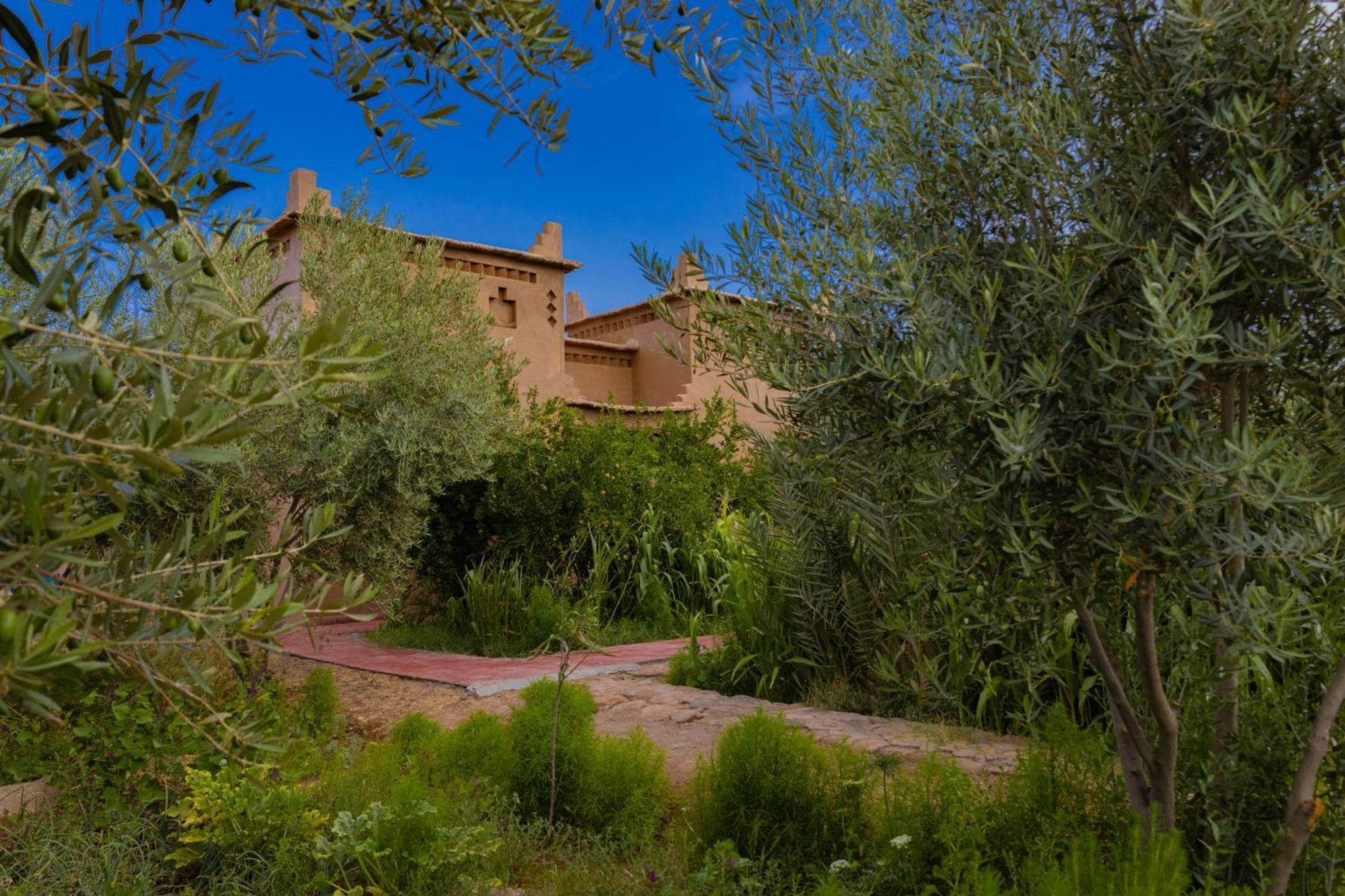 Maison D'Hote Amridil Skoura Exterior foto
